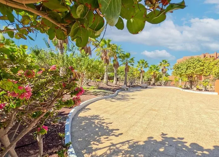 Apartment 1bd In Lovely Tejita *