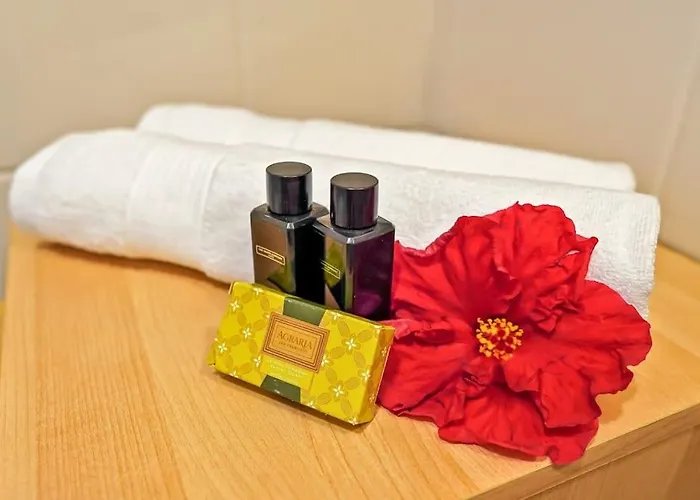 Apartment 1bd In Lovely Tejita *